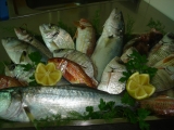 968257006foto pesce fresco.JPG